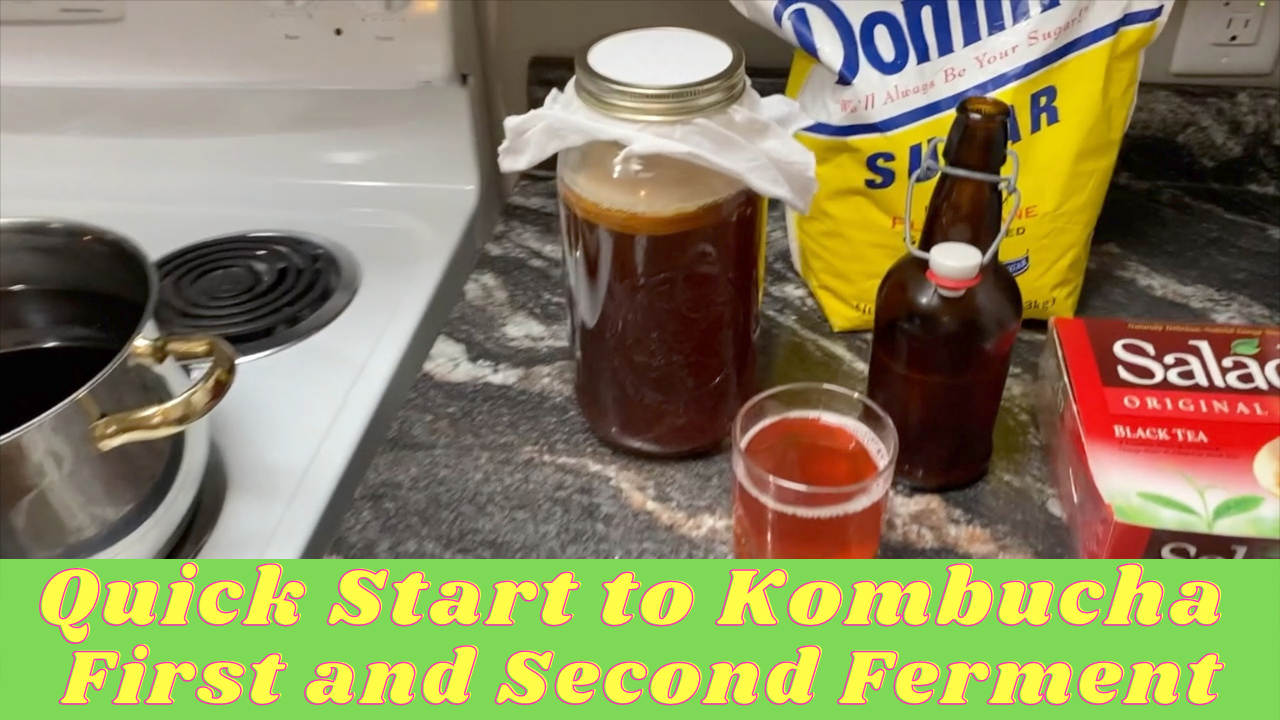 Quick Start to Kombucha | First and Second Ferment